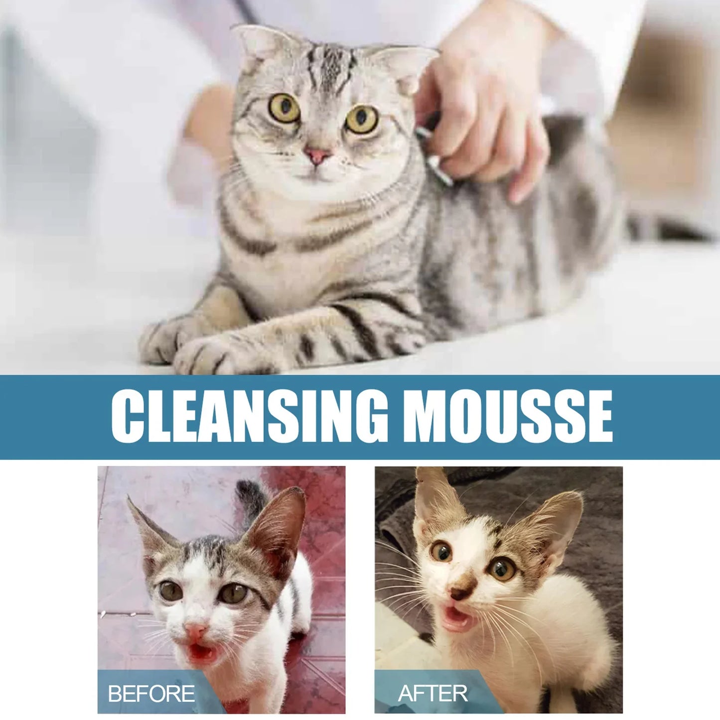 Cat Dry Shampoo No Rinse Dogs Cats Cleaning Mousse Rinse Free Pet Shampoo Bathless Cleaning Odor Removal For A Fresh Smelling
