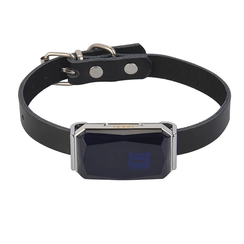 Waterproof Pet GPS Tracker System Locator CatS Dogs Puppy Adjustable Collar Real-Time Call Remote Control GPS Locator