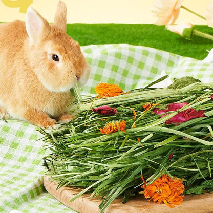 Rabbits Hay Bale Safe Natural Grass Hay Bedding For Hamster Healthy Pet Food Improves Digestion For Small Animal Gerbils