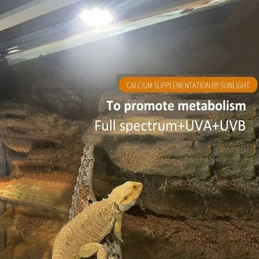 LED Reptile Light Bulb UVA UVB E27 Terrarium Lamp Full Spectrum 5.0/10.0 Lighting Small Pet Heating Bulb Night Vision