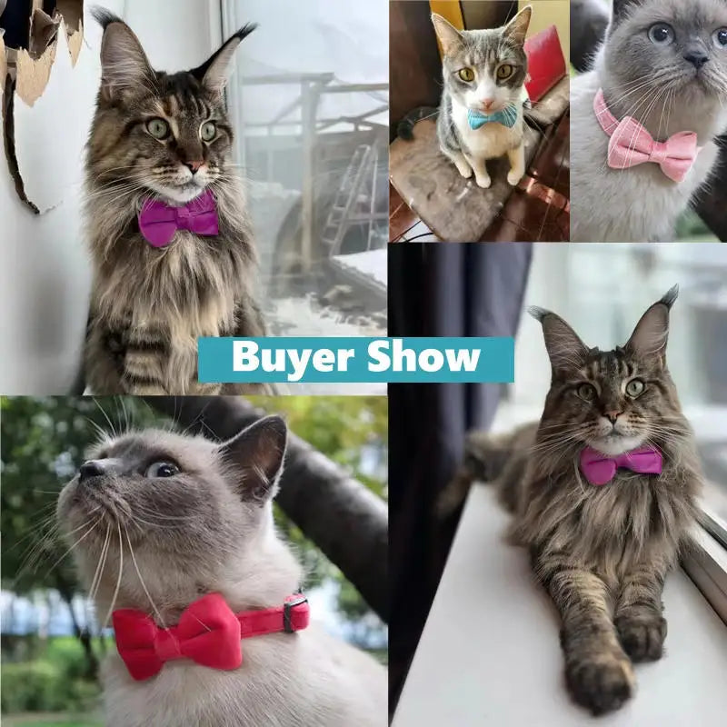 Pet Collars New Pet Bow Bell Collars Cute Cat Collars Pet Supplies Multicolor Adjustable Pets Dressing Tool Pets Accessories