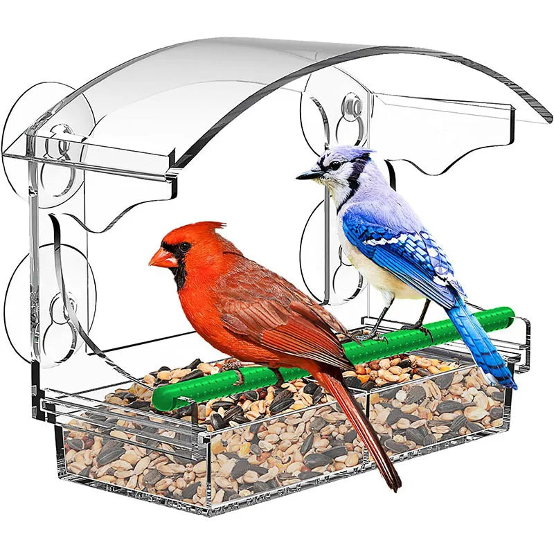 Parrot Breeding Cage Transparent Acrylic Large Special Cockatiel Budgerigar Lovebird Canary Pet Bird Cage