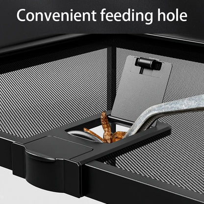 Reptile Terrariums Glass Landscaping Ecological Tank Amphibious Habitat Breeding Box Lizard Turtle Transparent Display Tanks
