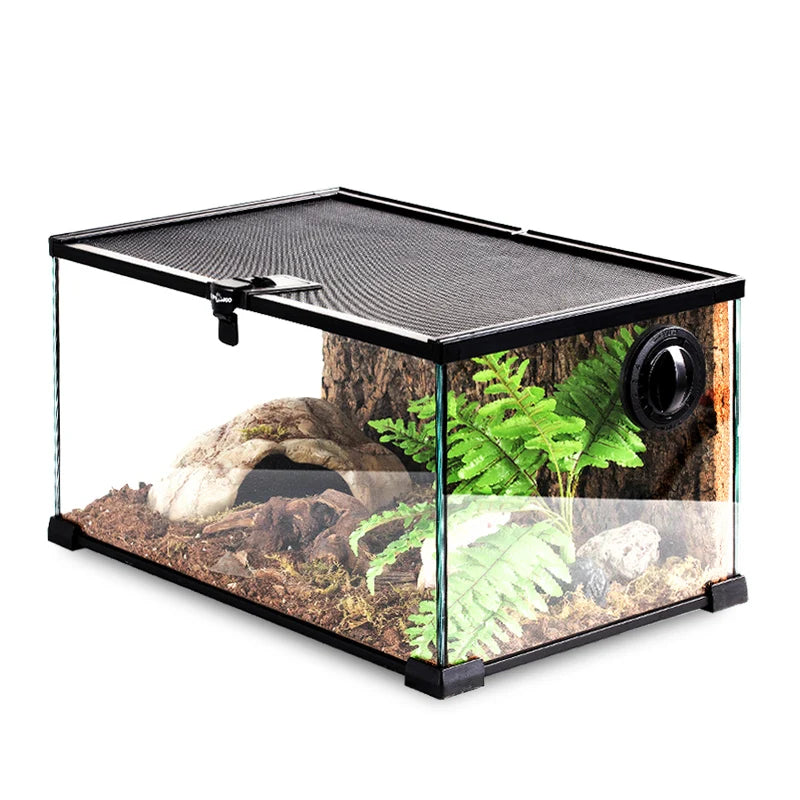 Rainforest Glass Terrarium for Reptiles Snake Tree Frog Bearded Dragon Lizard Gecko Spider Habitat Tank with Decorations