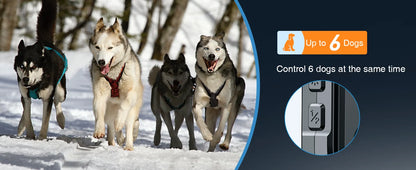 ABBIDOT T60 Dog Training Collar 2 in 1 Strap With E-clicker Electric Shock 4100ft 1250m Waterproof 118 Levels 2024 New Version