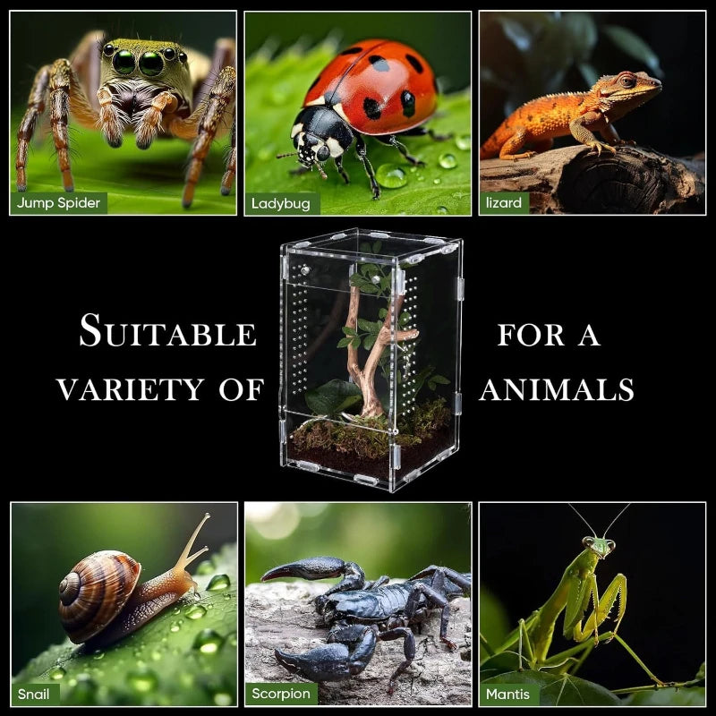 Acrylic Spider Habitat Container Portable Small Animals Insect Frog Climbing Pet Container Feeding Box Small Animals Cages