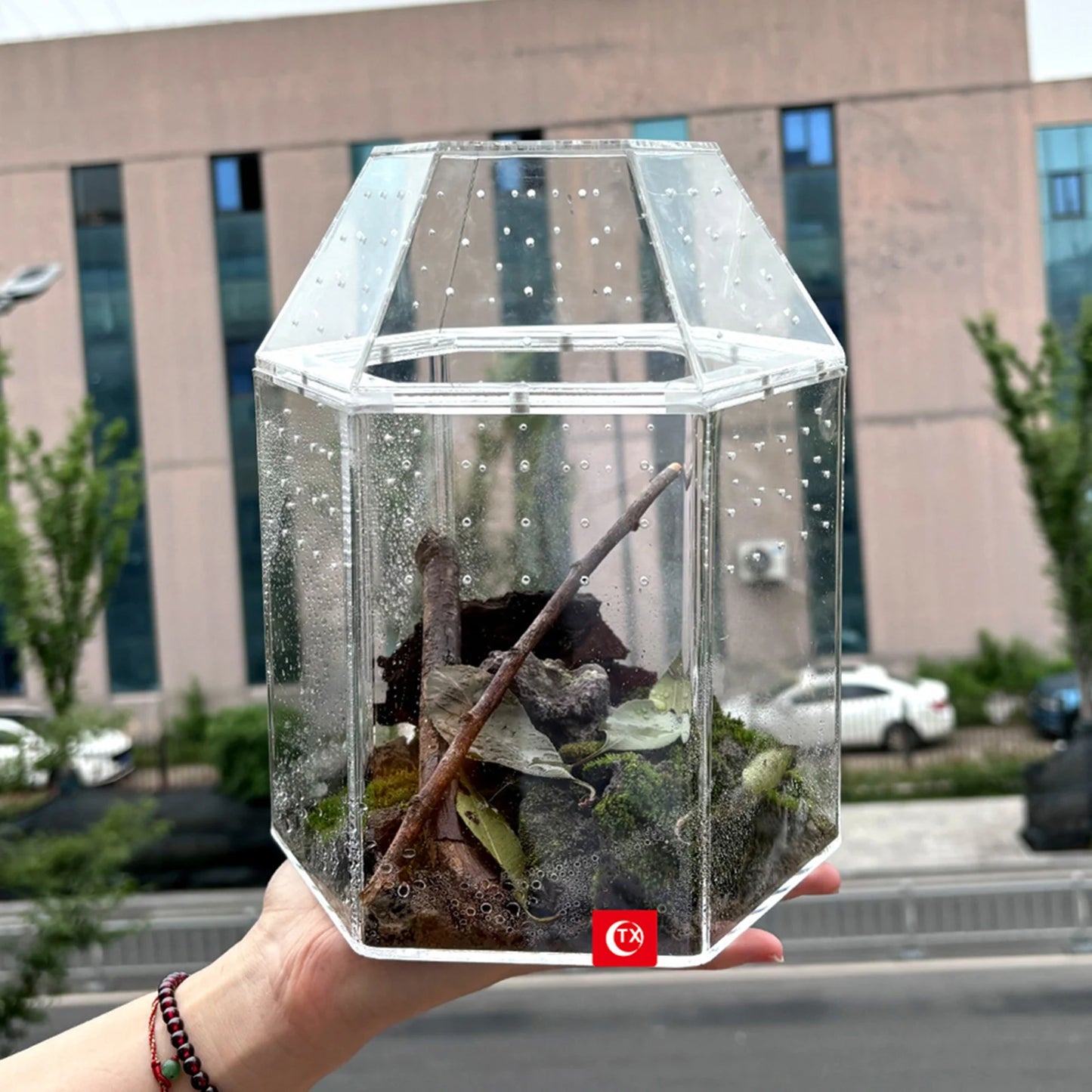 Jumping Spider Enclosure Acrylic Tortoise Enclosure Full Transparency Bug Terrarium for Spiders Tarantulas Snail Lizard Reptiles