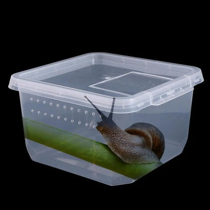 Accessories for Scorpion Spider Ants Transparent Plastic Reptile Habitat Lizard Living Box Hatching Tank Insect Feeding Box