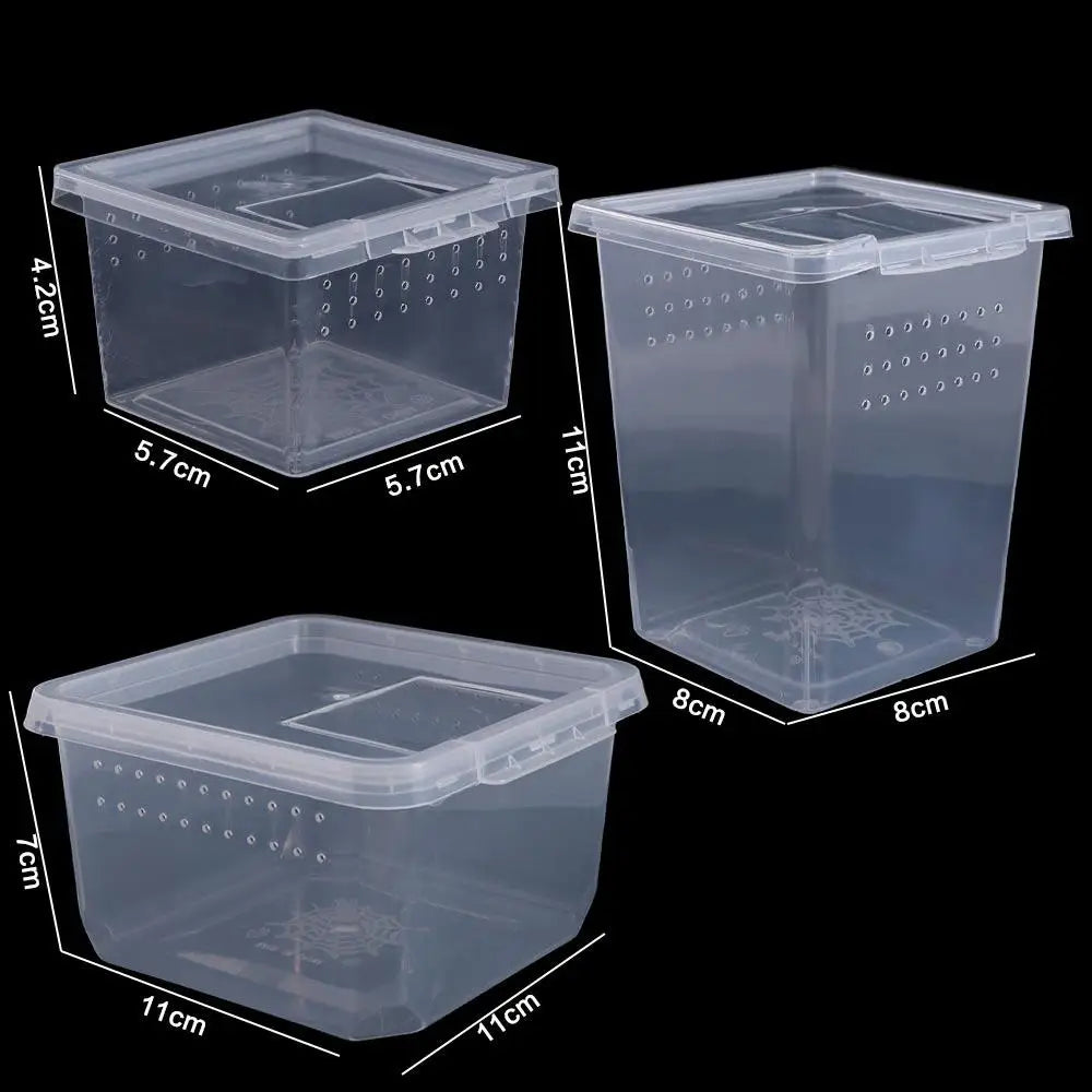 Accessories for Scorpion Spider Ants Transparent Plastic Reptile Habitat Lizard Living Box Hatching Tank Insect Feeding Box