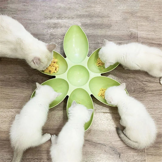 Cat Bowl Multi Cat Petal Food Bowl Baby Cat Milk Cat Special Bowl Multi functional Cat and Dog Food Bowl Upgrade Pet Lunch Time