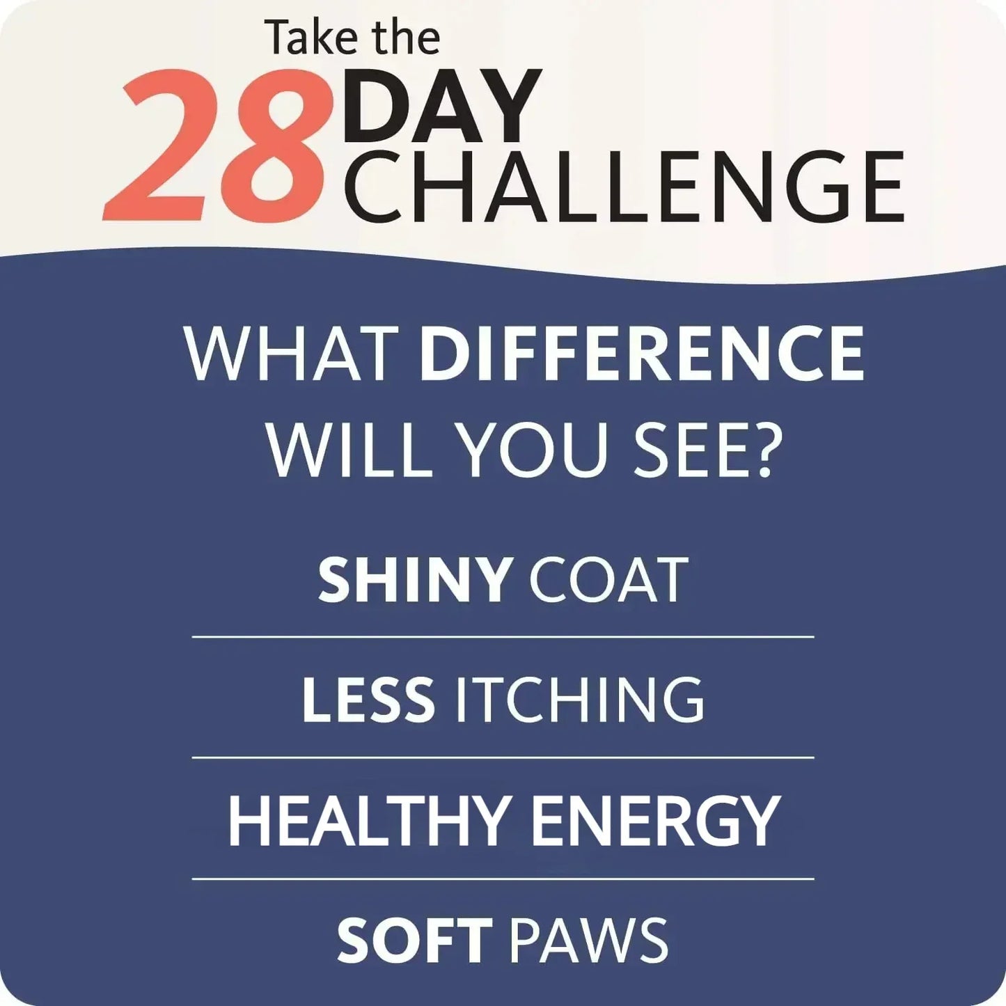 Brand 200ml PET BRILLIANT Pure SALMON OIL Natural No Chemical Treatment 21 Omega Fatty Acids Nutritional Supplements for Dogs