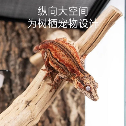 Ecological landscape reptile terrarium with natural decoration,suitable for chameleon,horned frog,and lizard,full habitat set