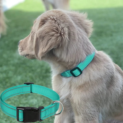 Nylon Pet Collar Pet Leash Chest Strap Dog Leash Collar For Small And Medium-Sized Pets Pet Supplies Dog Leash Collar Adjustable