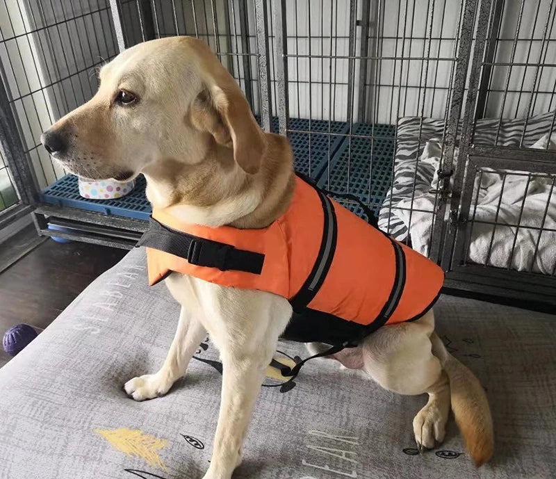 Seaside Big Dog Swimming Life Jacket Vest for Medium Large Dogs Summer Safety Pet Clothes Golden Retriever Shepherd Pug Swimwear