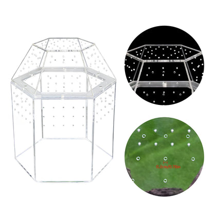 Jumping Spider Enclosure Acrylic Tortoise Enclosure Full Transparency Bug Terrarium for Spiders Tarantulas Snail Lizard Reptiles