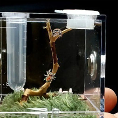 Jumping Spider Habitat Acrylic Breeding Box Cage for Spiders Small Insects