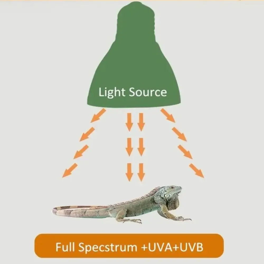 LED Reptile Light Bulb UVA UVB E27 Terrarium Lamp Full Spectrum 5.0/10.0 Lighting Small Pet Heating Bulb Night Vision