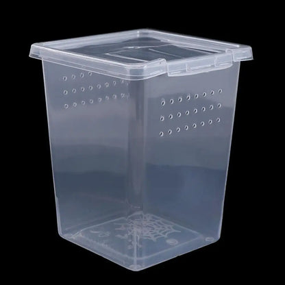 Accessories for Scorpion Spider Ants Transparent Plastic Reptile Habitat Lizard Living Box Hatching Tank Insect Feeding Box