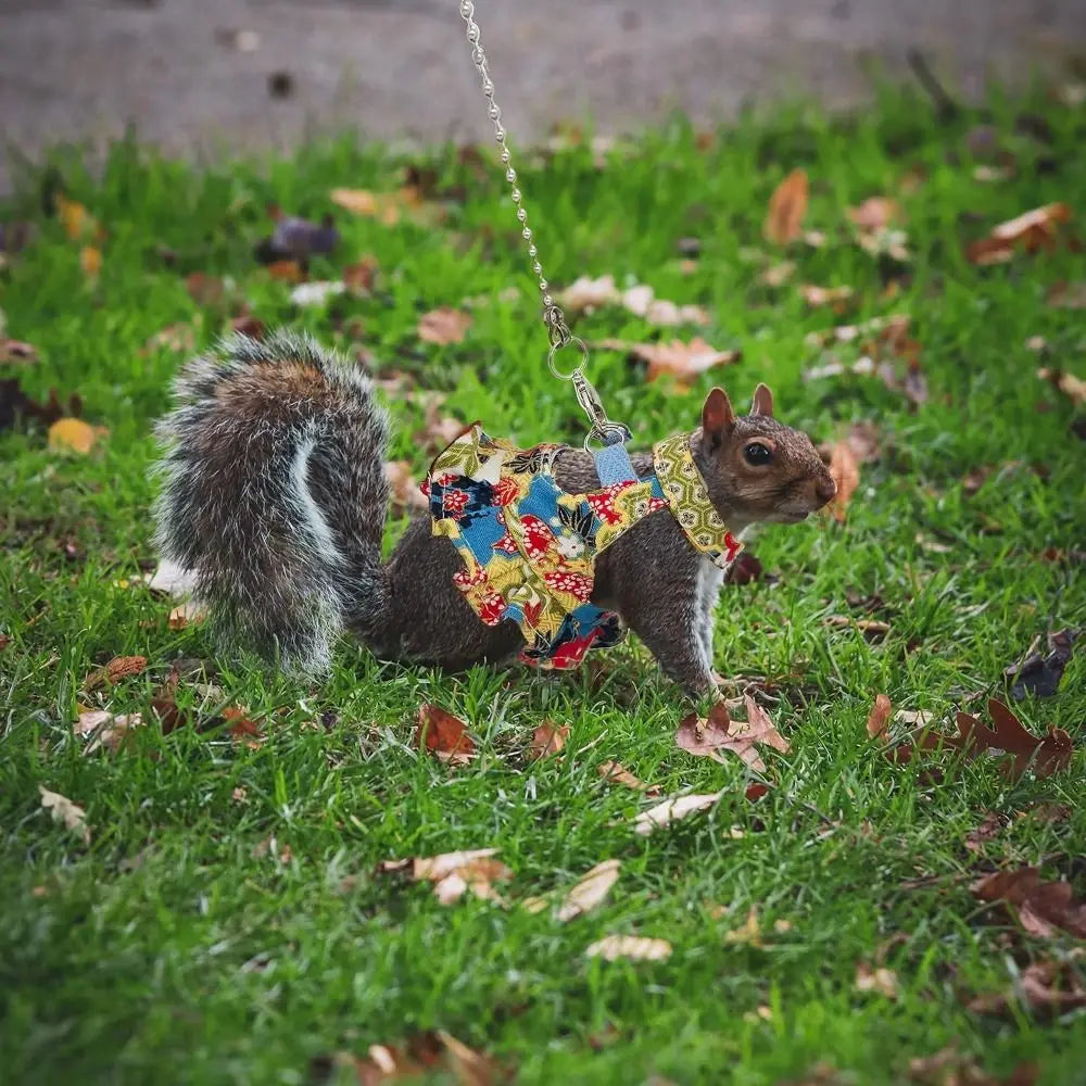 Multicolor Ferret Harness and Leash Set Floral Pattern Adjustable Strap Ferret Harness Vest Wear-resistant Breathable