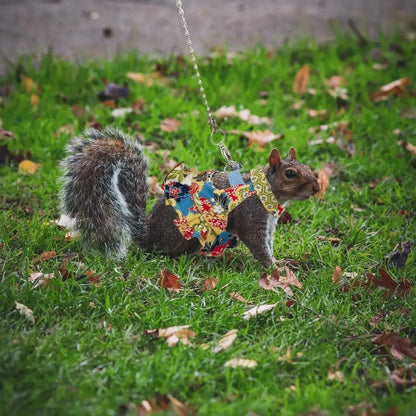 Multicolor Ferret Harness and Leash Set Floral Pattern Adjustable Strap Ferret Harness Vest Wear-resistant Breathable