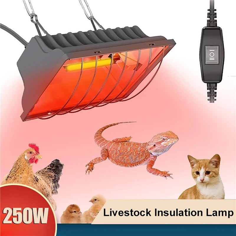 Poultry Heating Lamp 250W Constant Temperature Reptiles Animals Chicken Coop Heater Lamps Pet Heating Breeding Equipment
