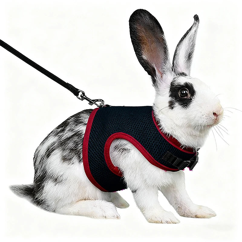 Mesh Breathable Ferret Bunny Harness Leash Set for Small Animals Rabbit Hamsters Summer Walking Pet Lead mascotas Accessories