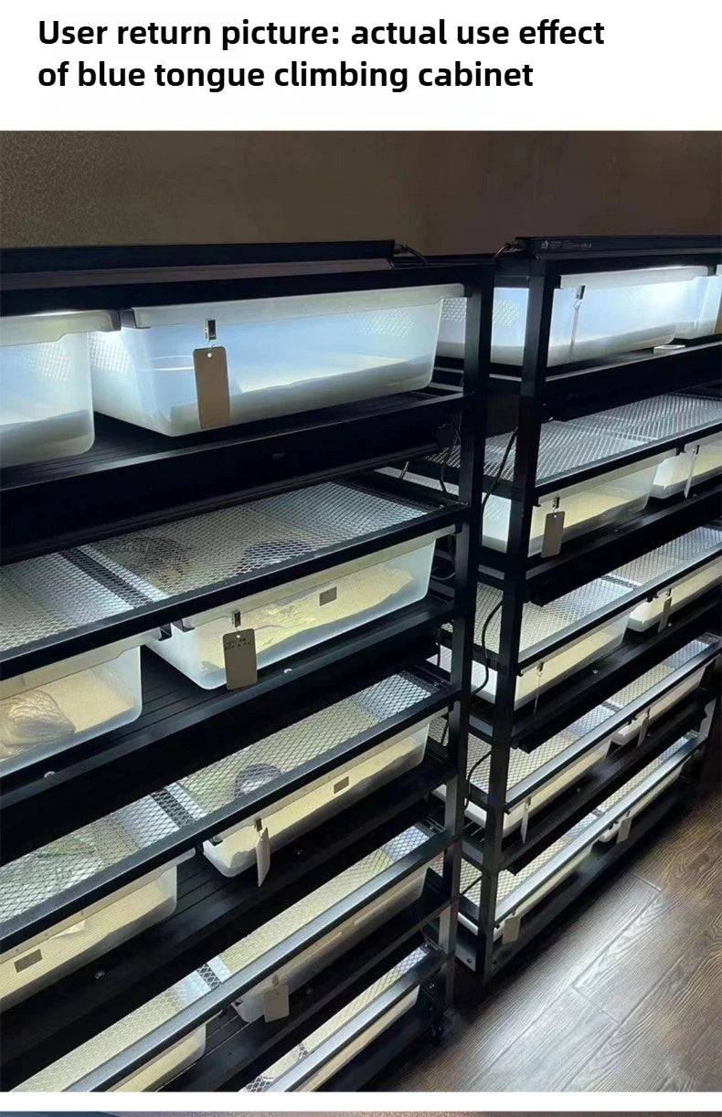 T5 Reptile Light Fixture 8W Reptile Terrarium Hood 5.0/10.0 UVB Light Bulb Fluorescent Tube for Bearded Dragon Lizards Tortoises