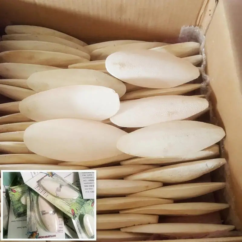 Bird Cuttlebone Toy 10pcs Chewing Cuttlefish Bone Natural Cuttlefish Bones Chew Toy for reptiles turtles turtles snails birds