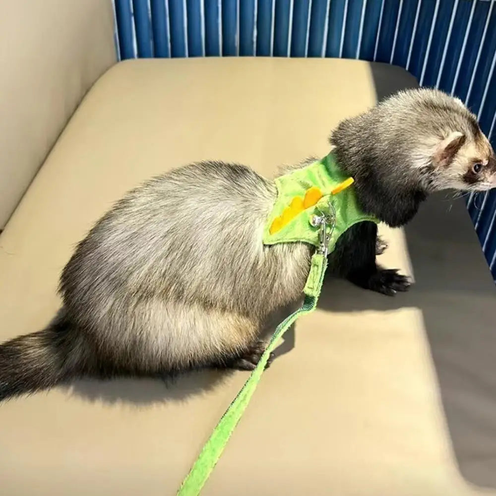Adjustable Ferret Drawstring Vest  With Bell Pet Outdoor Walking Rope Bunny Harness Harness Vest Dinosaur Design Pet Accessories
