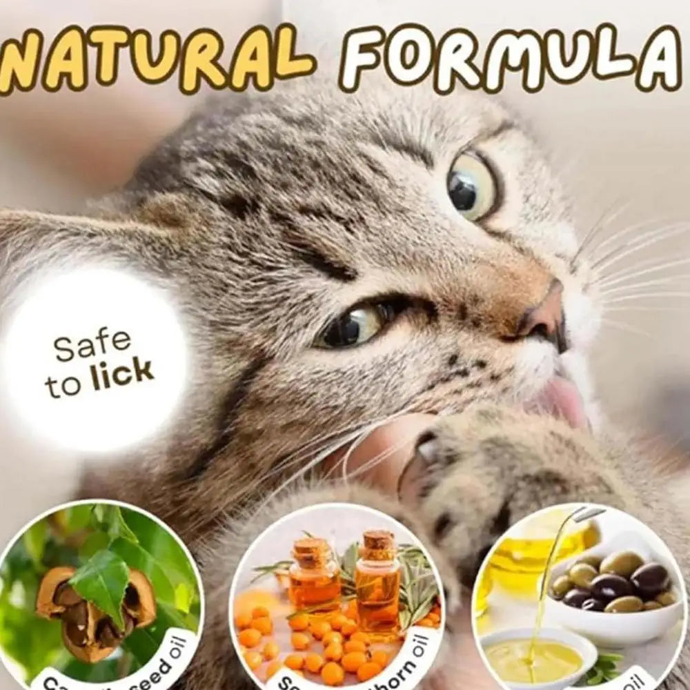 Pet Cat Snacks Freeze-dried Cats Snacks Cat Claw Snacks Cat Dog Universal Snacks Train To Get Rewarded Pet Treats Kitty Food