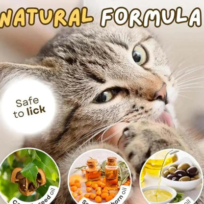 Pet Cat Snacks Freeze-dried Cats Snacks Cat Claw Snacks Cat Dog Universal Snacks Train To Get Rewarded Pet Treats Kitty Food
