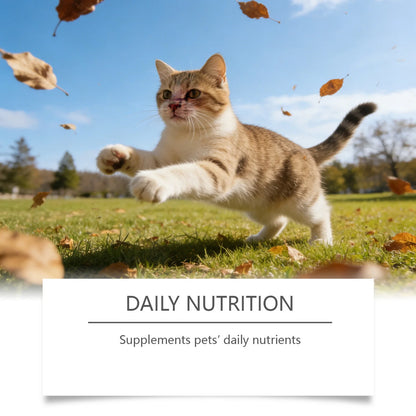 Taurine Powder for Cats Gentle Formula Supports Heart, Vision Overall Health Daily Care Supplement for Comfort and Well-Being