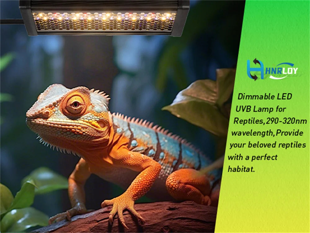 20W Dimmable LED Reptile UVB light 10W AC100-240V 6H/10H/12H Timer Snake Turtle Pet Full Spectrum Basking UV Light Heating Lamps