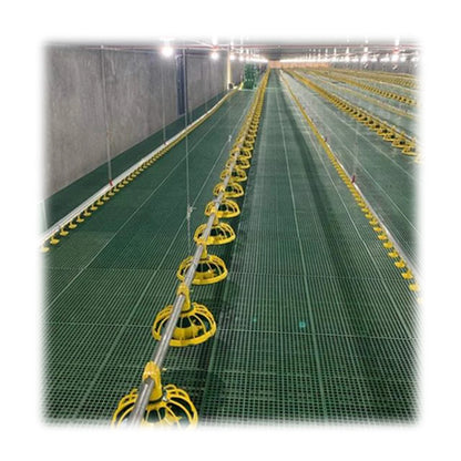 Chicken Feeding System In Broiler Coop Shed For Poultry Farm With Automatic Feeder And Drinker