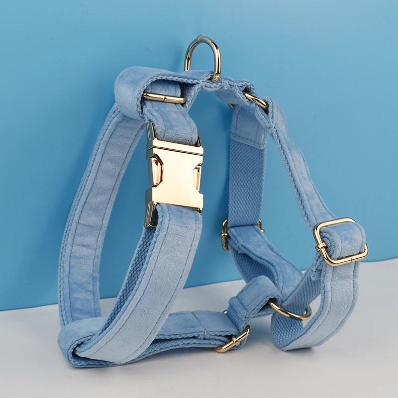 Blue Velvet Dog Collar And Leash Set For Small Medium Large Dogs Custom Engraved Nameplate Pet Supplies Dog Leash Velvet15