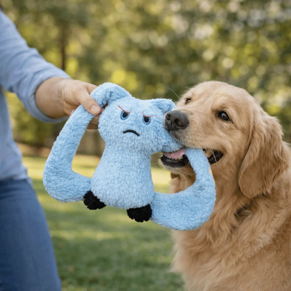 Portable Long Eared Rabbits Pet Stuffed Animal Bite-Resistant Dog Chew Tooth Cleaning Soft Gnawing Puppy Medium Small Dog