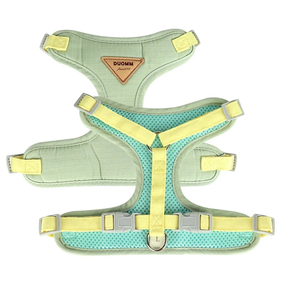 Pet Products for Cats Detachable Collar Pets Kittens Harness Accessories Goods Cute Kitten Animal Animals Stuff Dogs Tag Collars