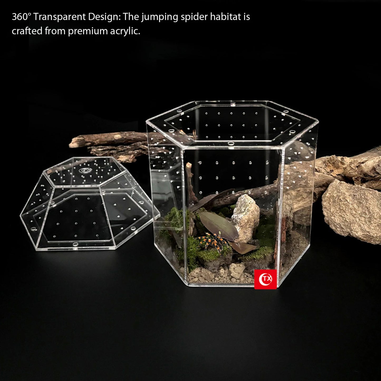 Jumping Spider Enclosure Acrylic Tortoise Enclosure Full Transparency Bug Terrarium for Spiders Tarantulas Snail Lizard Reptiles