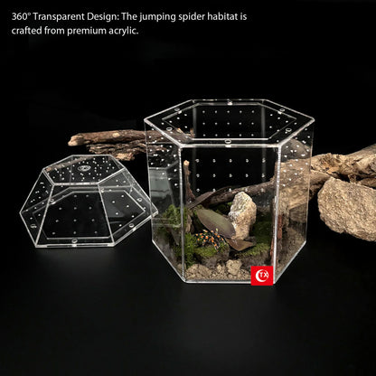 Jumping Spider Enclosure Acrylic Tortoise Enclosure Full Transparency Bug Terrarium for Spiders Tarantulas Snail Lizard Reptiles
