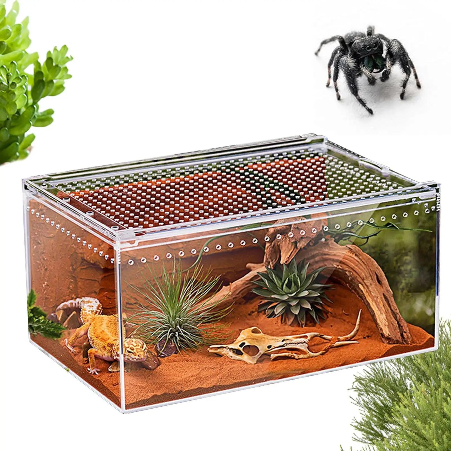 Spider Enclosure Transparent Reptile Enclosure Snake Terrarium for Gecko Snake Frog Chameleon Bearded Dragon Tortoise
