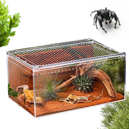 Spider Enclosure Transparent Reptile Enclosure Snake Terrarium for Gecko Snake Frog Chameleon Bearded Dragon Tortoise