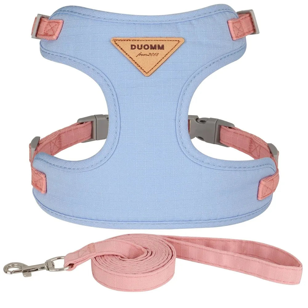 Pet Products for Cats Detachable Collar Pets Kittens Harness Accessories Goods Cute Kitten Animal Animals Stuff Dogs Tag Collars