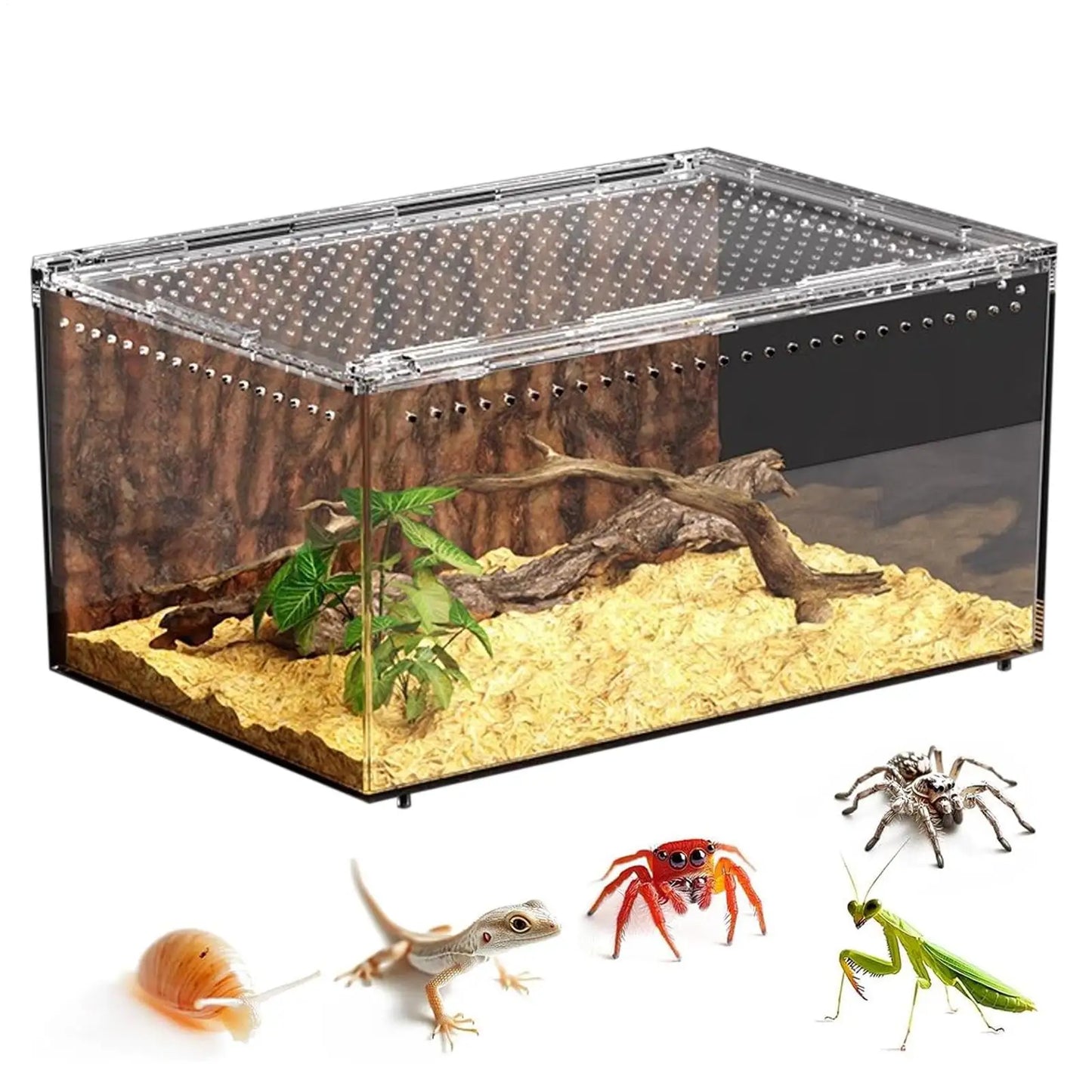 Spider Enclosure Transparent Reptile Enclosure Snake Terrarium for Gecko Snake Frog Chameleon Bearded Dragon Tortoise