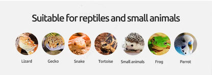 Leopard Gecko Tank Reptile Terrarium Glass Terrariums with Sliding Front Doors