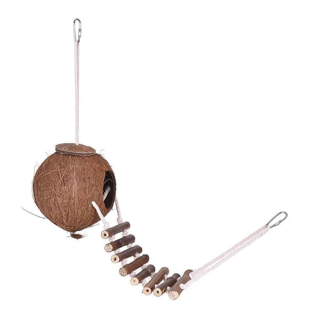 Comfortable Cute Design Natural Coconut Shell Bird Nesting House Small Size Pet Parakeets Finches Sparrows Cage With Ladder