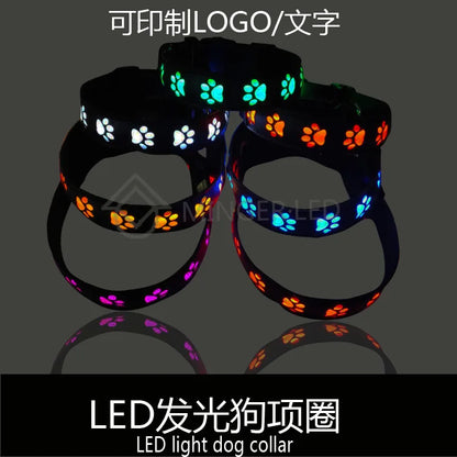 LED Dogs Luminous Collar Paw Pet Dog Walking Dog Collar Tag  Anti-car Accident Anti-lost Light Warning Safety Puppy accessories