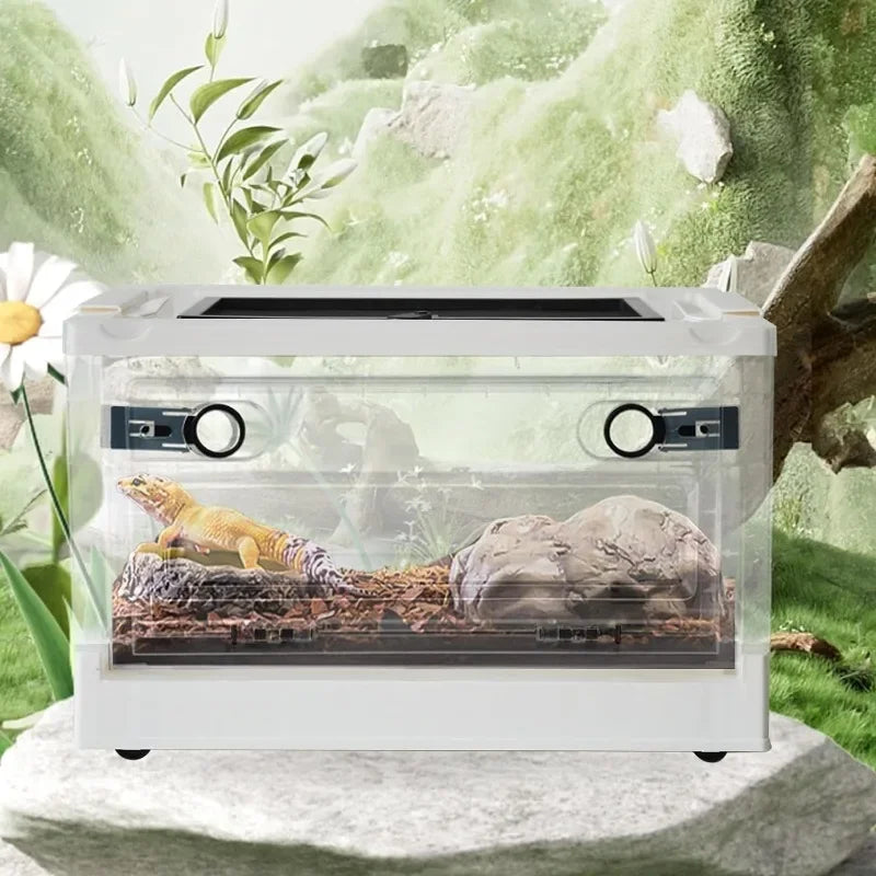 Reptiles Breeding Enclosure Cages Transparent Amphibians Habitat Box Plastic Reptile Feeding Box for Lizard Bearded Dragon