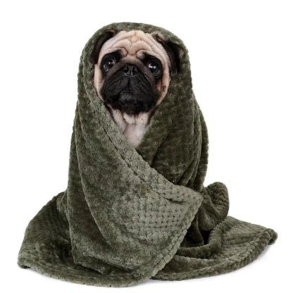 New Soft Pet Blanket Spring Warm Dog Bed Blanket Cute Pet Sheets Warm Mat Comfortable Cat Dog Pad Blanket Pet Accessories