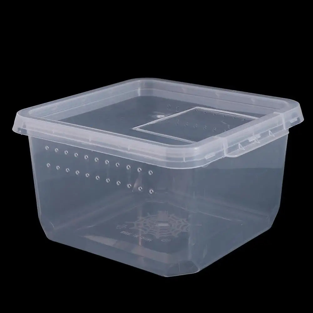 Reptile Accessories Transparent for Scorpion Spider Ants Lizard Living Box Hatching Tank Insect Feeding Box Reptile Habitat