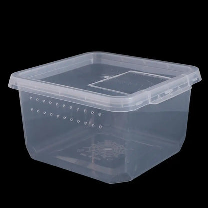 Reptile Accessories Transparent for Scorpion Spider Ants Lizard Living Box Hatching Tank Insect Feeding Box Reptile Habitat